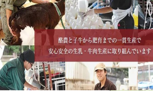 BÒ SỮA ( CHĂN NUÔI BÒ SỮA) - KỸ NĂNG ĐẶC ĐỊNH