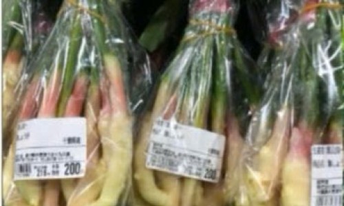 NÔNG NGHIỆP - NÔNG SẢN THEO MÙA