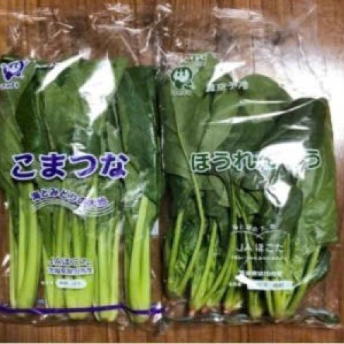 NÔNG NGHIỆP (TRỒNG RAU NHÀ KÍNH)