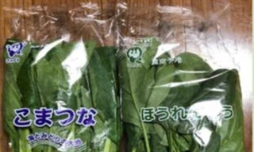 NÔNG NGHIỆP (TRỒNG RAU NHÀ KÍNH)