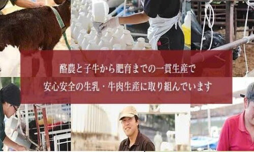 CHĂN NUÔI BÒ SỮA - TOKUTEI