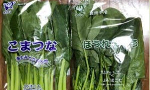 NÔNG NGHIỆP - TRỒNG RAU NHÀ KÍNH