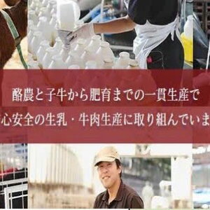 CHĂN NUÔI BÒ SỮA - TOKUTEI