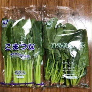 NÔNG NGHIỆP - TRỒNG RAU NHÀ KÍNH