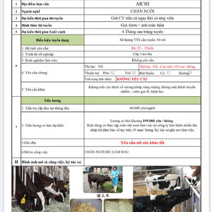 Chăn nuôi bò thịt