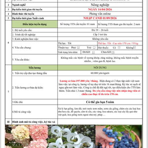 Nông nghiệp trồng trọt